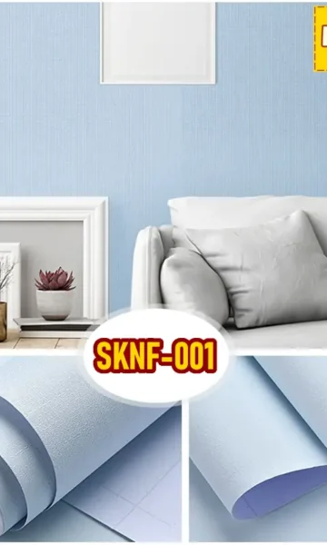 SKNF-001 SKNF-001